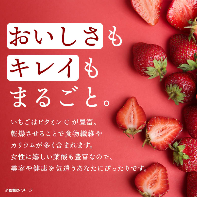 いちご ドライフルーツ 半生 イチゴ 苺 27...の詳細画像4