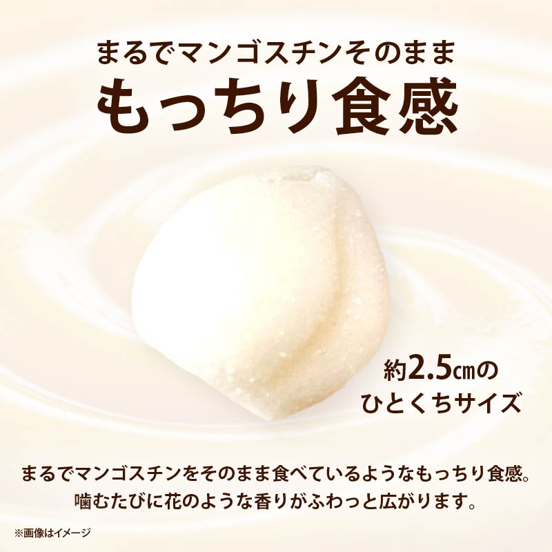 マンゴスチングミ カンナ 100gx1袋 タイ ゼラチンフリー