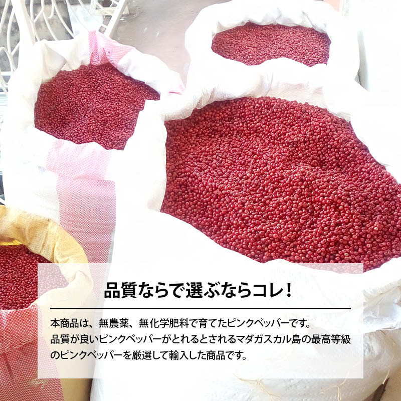 MAEDAYA 前田家 こしょう ピンクペッパー ホール 50g スパイス ハーブ