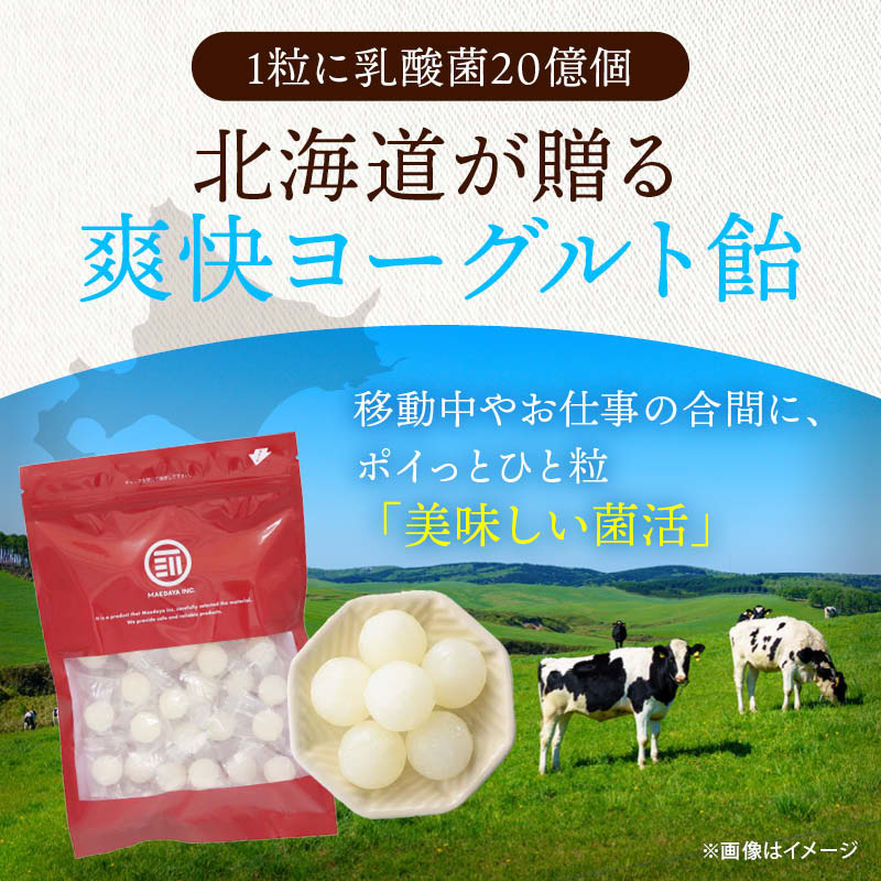 MAEDAYA 前田家 北海道 ヨーグルト飴 140g 個包装 乳酸菌 20億個