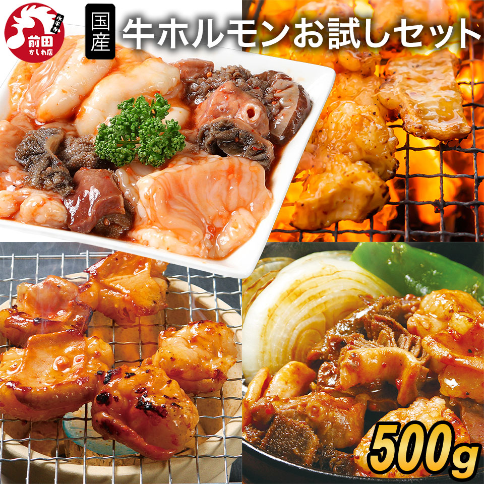 おためしセット500g