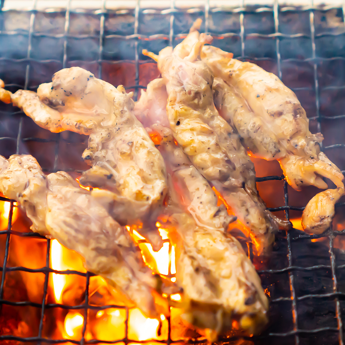 国産若鶏 こにく(せせり)[1kg](冷凍) 小肉 セセリ 首肉 ネック