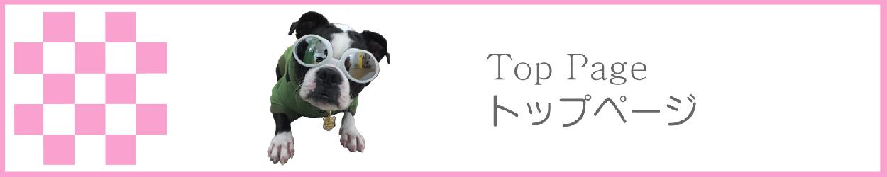 トップページ