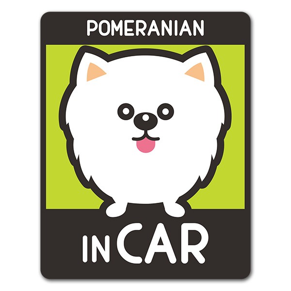 車ステッカー ポメラニアン 選べる毛色全3種 POMERANIAN IN CAR ドッグ