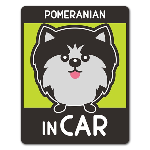 車ステッカー ポメラニアン 選べる毛色全3種 POMERANIAN IN CAR