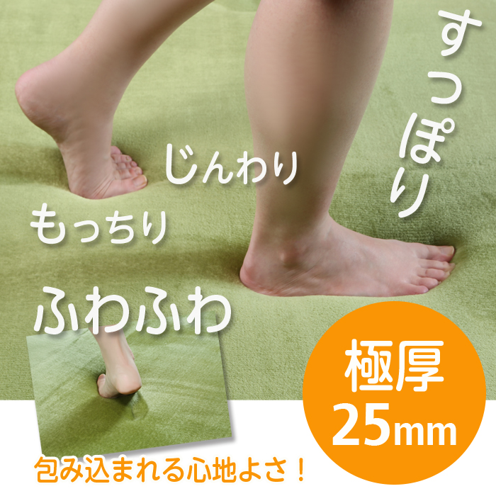ラグ カーペット 厚手 25mm 極厚 ふわふわ 洗える ラグマット 3 ラグ カーペット 厚手 25mm 極厚 ふわふわ 洗える ラグマット 3