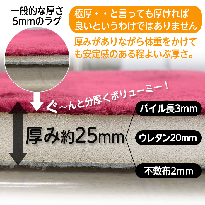 ラグ カーペット 厚手 25mm 極厚 ふわふわ 洗える ラグマット 3 ラグ カーペット 厚手 25mm 極厚 ふわふわ 洗える ラグマット 3