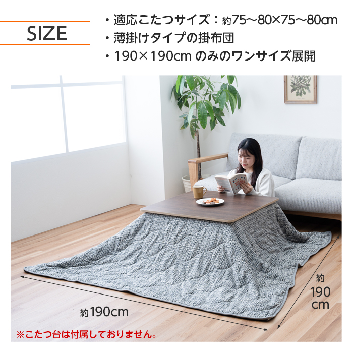 イケヒコ こたつ布団 おしゃれ 北欧 3way 正方形 190×190 寝袋