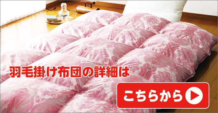 布団セット ダブル 羽毛掛け布団 ブルー 日本製枕の寝具2点SET 布団