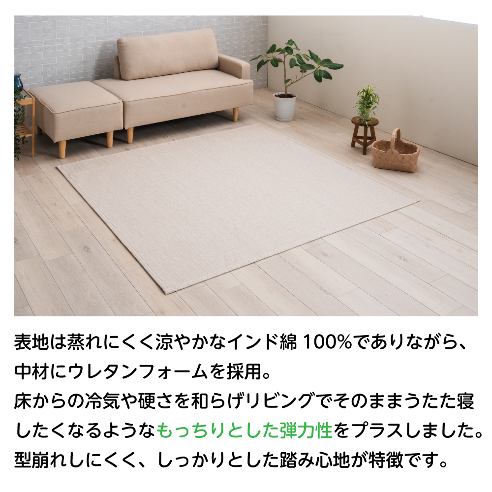 イケヒコ ラグ インド綿 ラグマット 洗える 夏用ラグ 180×180cm 2畳用