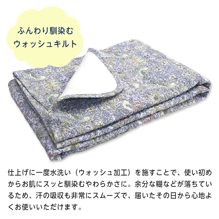 ロマンス小杉 敷きパッド いちご泥棒 綿100% セミダブル 120×205 V&A