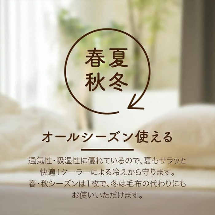 ロマンス小杉 敷きパッド いちご泥棒 綿100% セミダブル 120×205 V&A