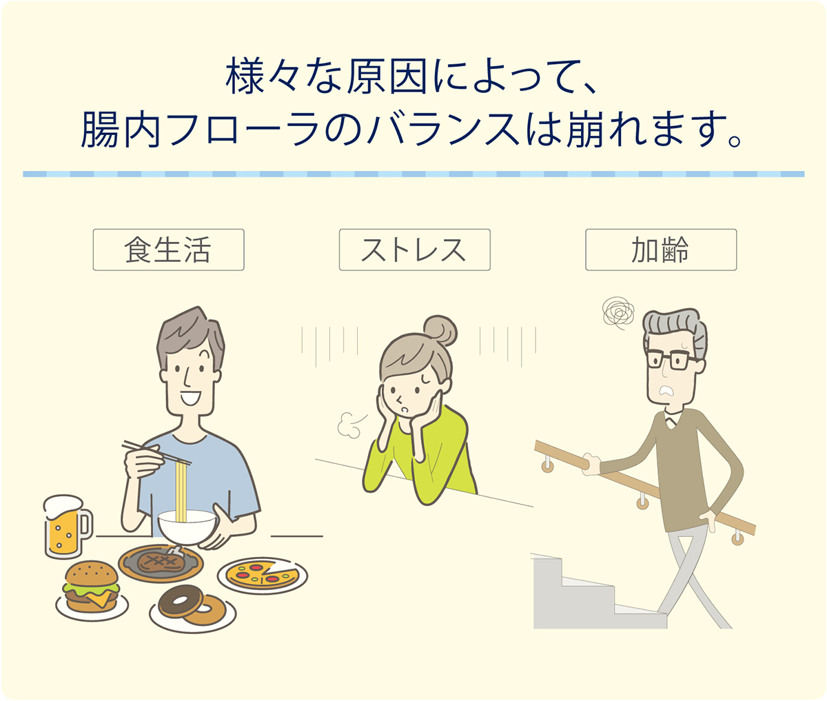 ビフィズス菌