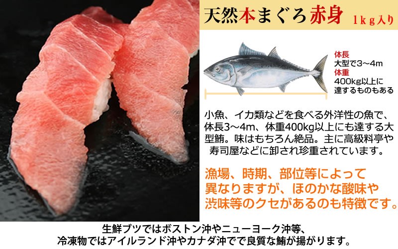 マグロ マグロ刺身 訳あり 赤身 冷凍マグロ 1kg 天然本まぐろ赤身切落し1kg 筋 血栓等が含まれるためこの価格です 焼津船元 まぐろ家福坊 通販 Paypayモール