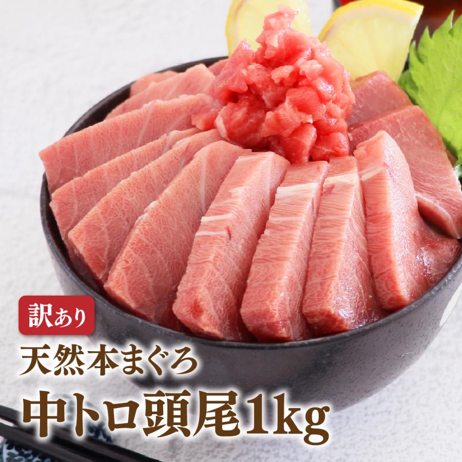 焼津港 船元直営 福一 マグロ 訳あり 刺身 中トロ まぐろ 鮪 本