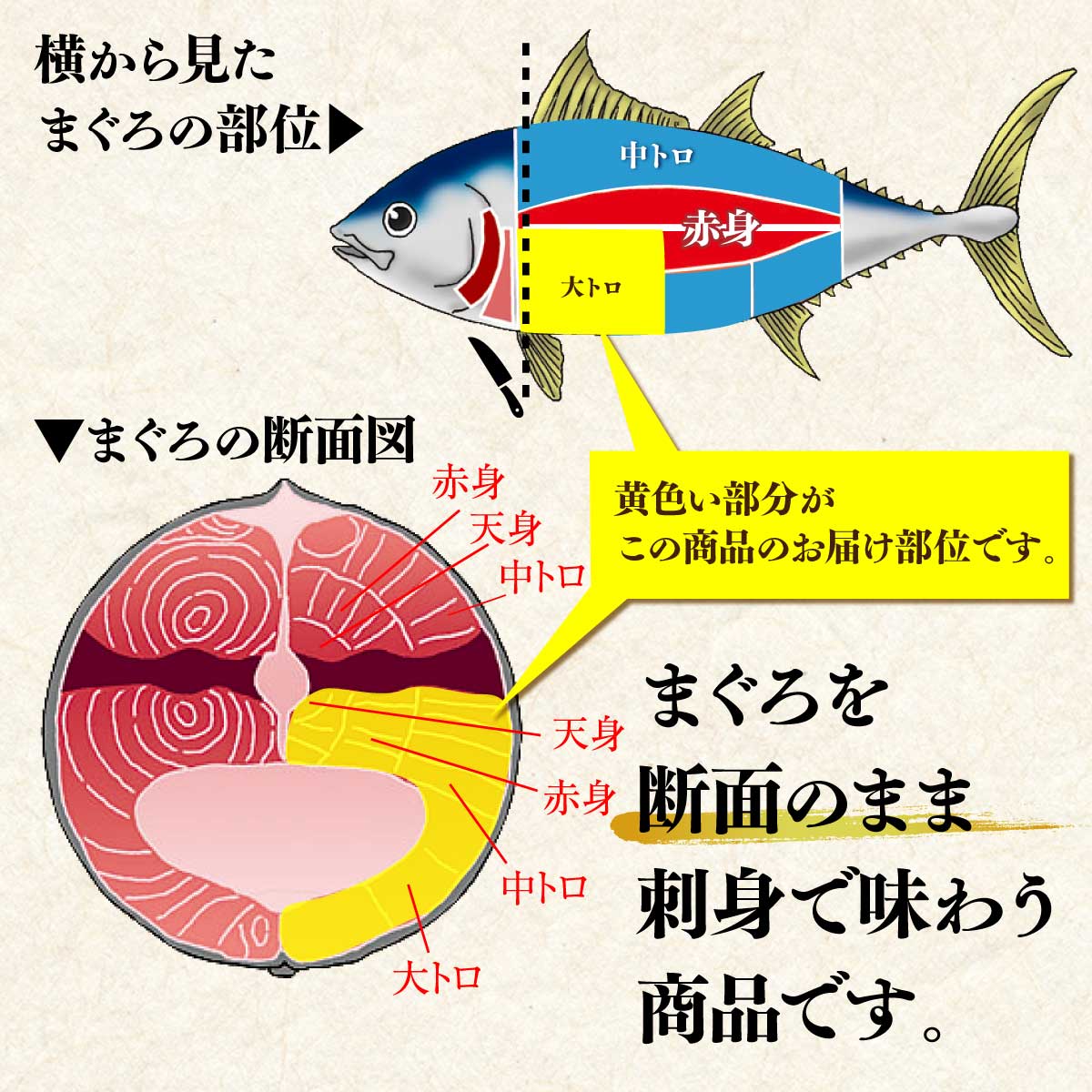 マグロ刺身 ブロック 訳あり 天然ミナミマグロ 大トロ付き 断面刺し300ｇ 80588 のし対応可能 レシピ付き