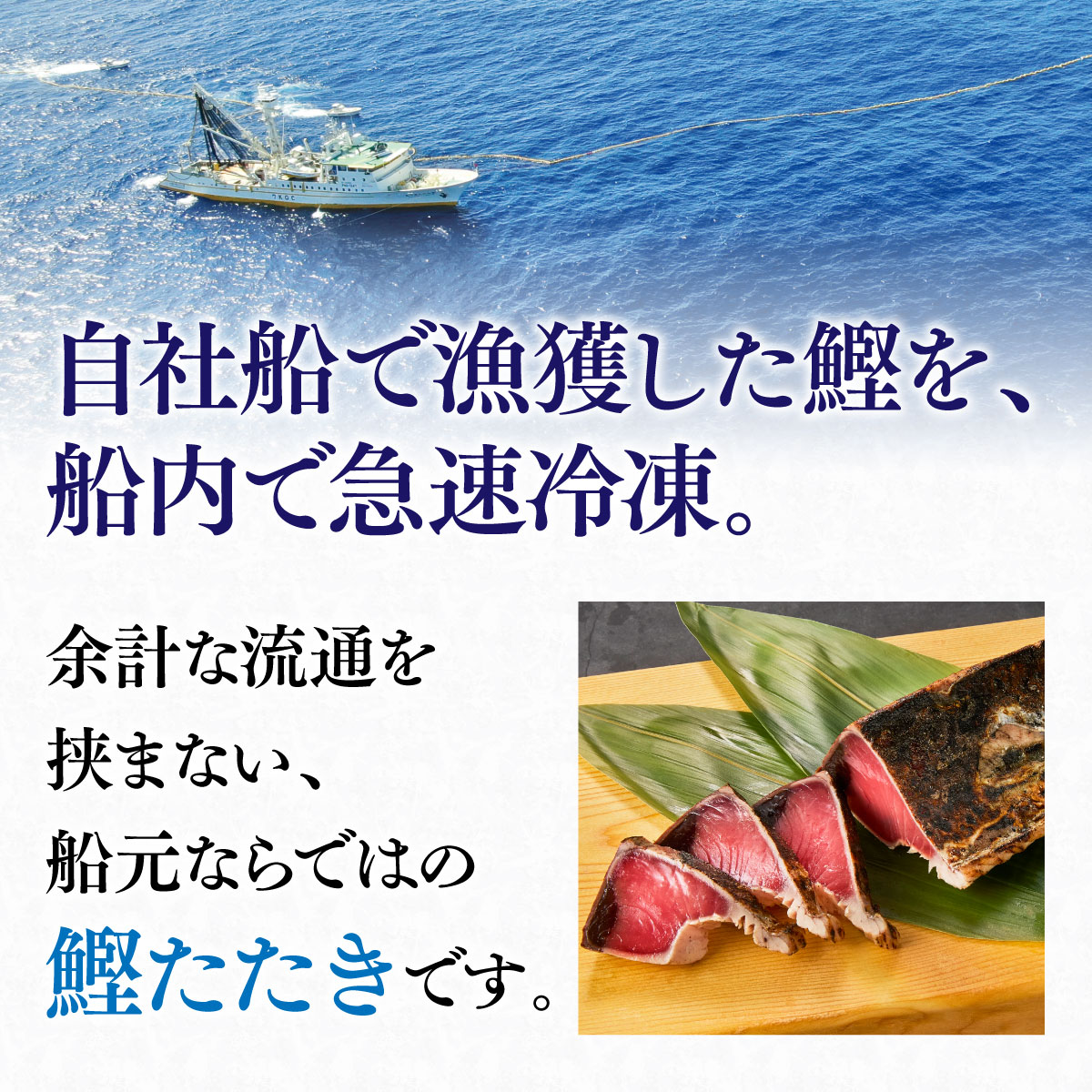 焼津港 船元直営 福一 カツオ かつおのたたき500g 鰹 かつお 刺身