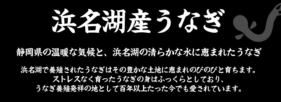 浜名湖産うなぎ