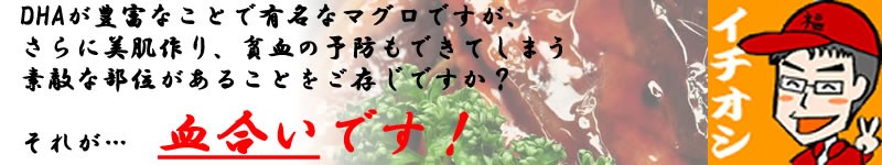 本マグロ　訳あり