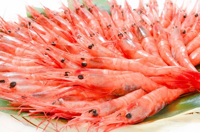 週末限定セール 甘エビ（お刺身用甘海老 1kg 大きい 2L サイズ