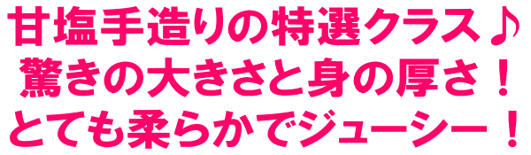 甘塩手造りの特選クラス