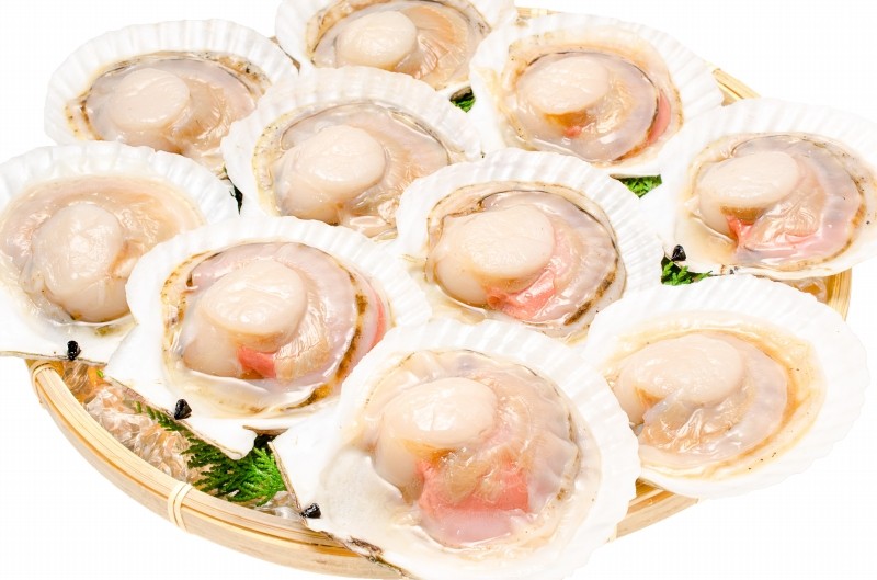 ホタテ ほたて 特大 片貝ほたて 50枚 10枚×5袋 （殻付きほたて 帆立 貝