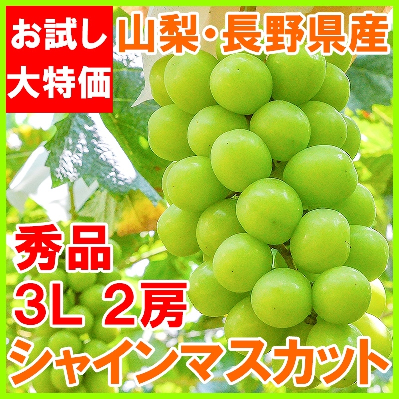 シャインマスカット 山梨県 長野県産 種なし シャインマスカット 1箱