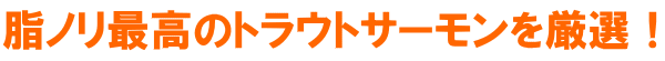 脂ノリ抜群のトラウトサーモンを厳選