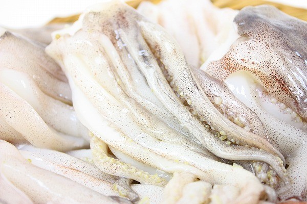 イカげそアップ１