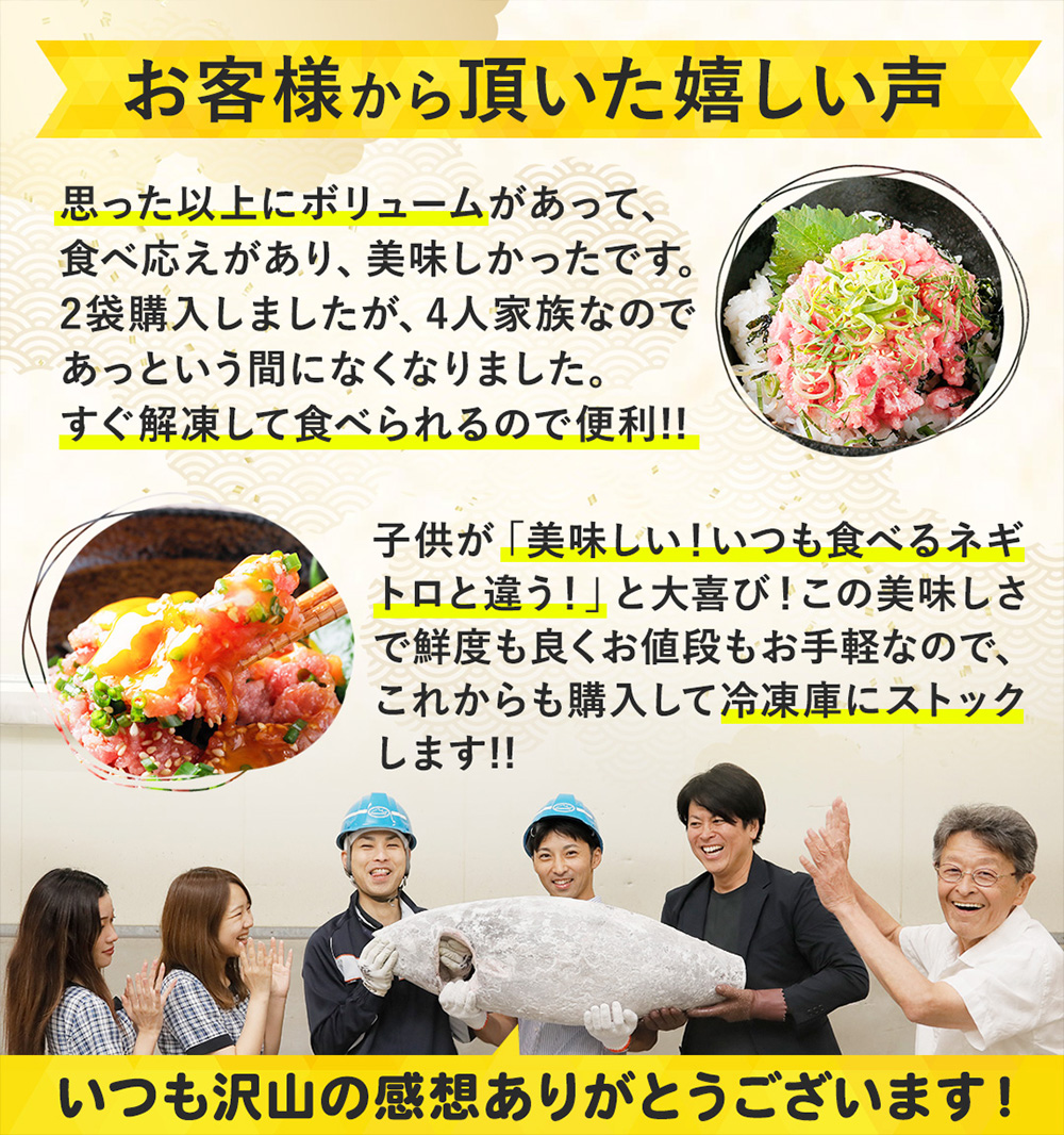 ねぎとろ ネギトロ ねぎトロ 小分け ふるさと納税 ふるさと ネギトロ丼 冷凍 1kg 500g 2kg