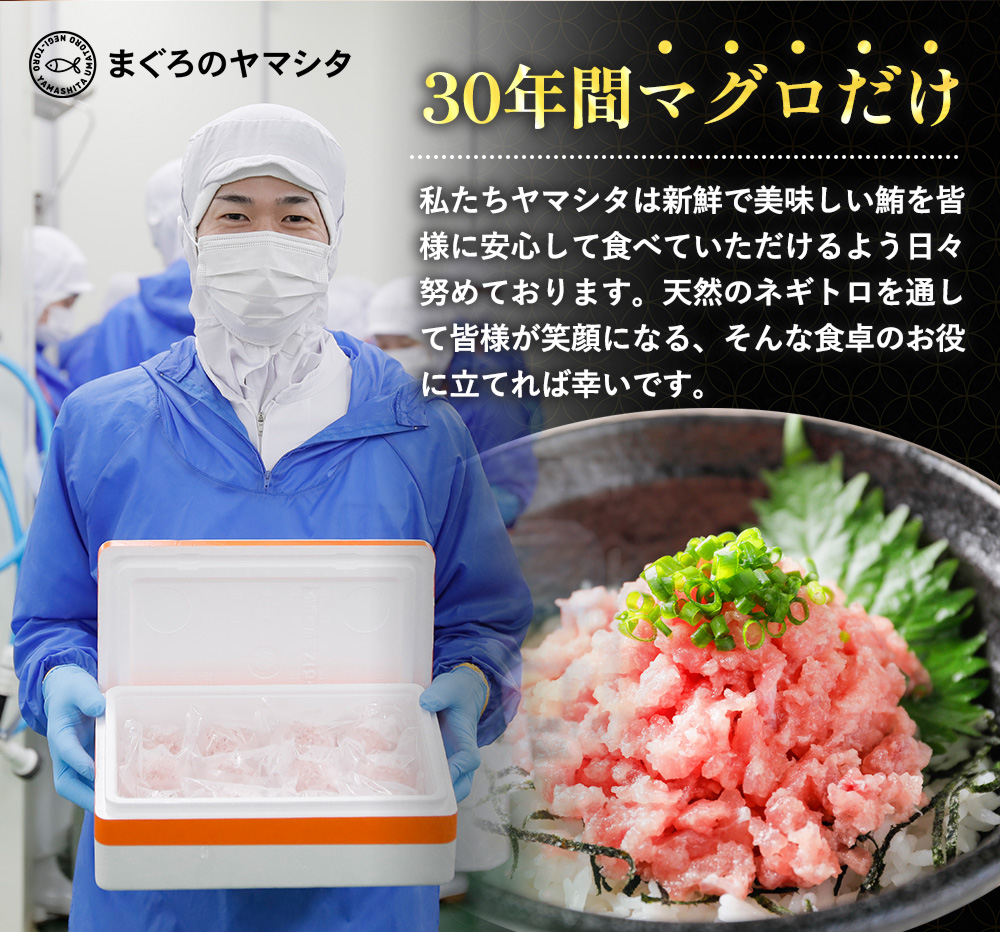 ねぎとろ ネギトロ ねぎトロ 小分け ふるさと納税 ふるさと ネギトロ丼 冷凍 1kg 500g 2kg