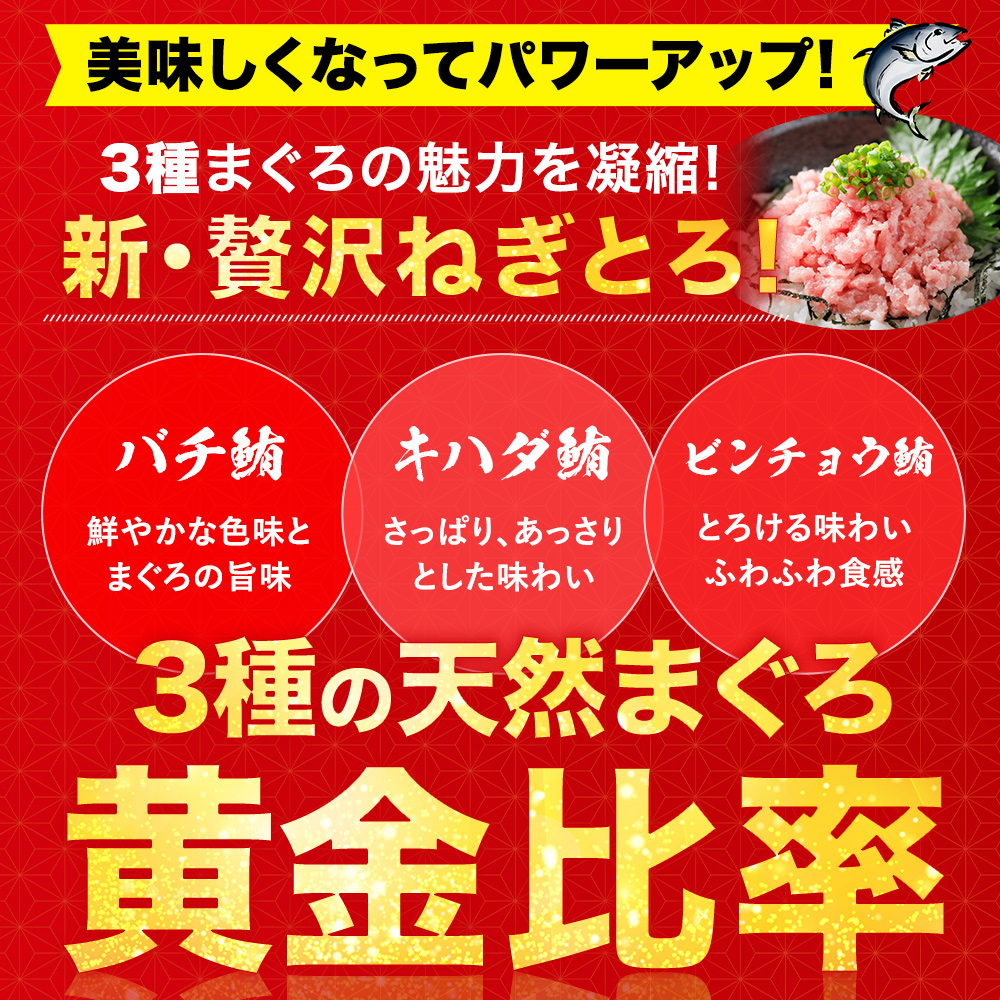 ねぎとろ ネギトロ ねぎトロ 小分け ふるさと納税 ふるさと ネギトロ丼 冷凍 1kg 500g 2kg