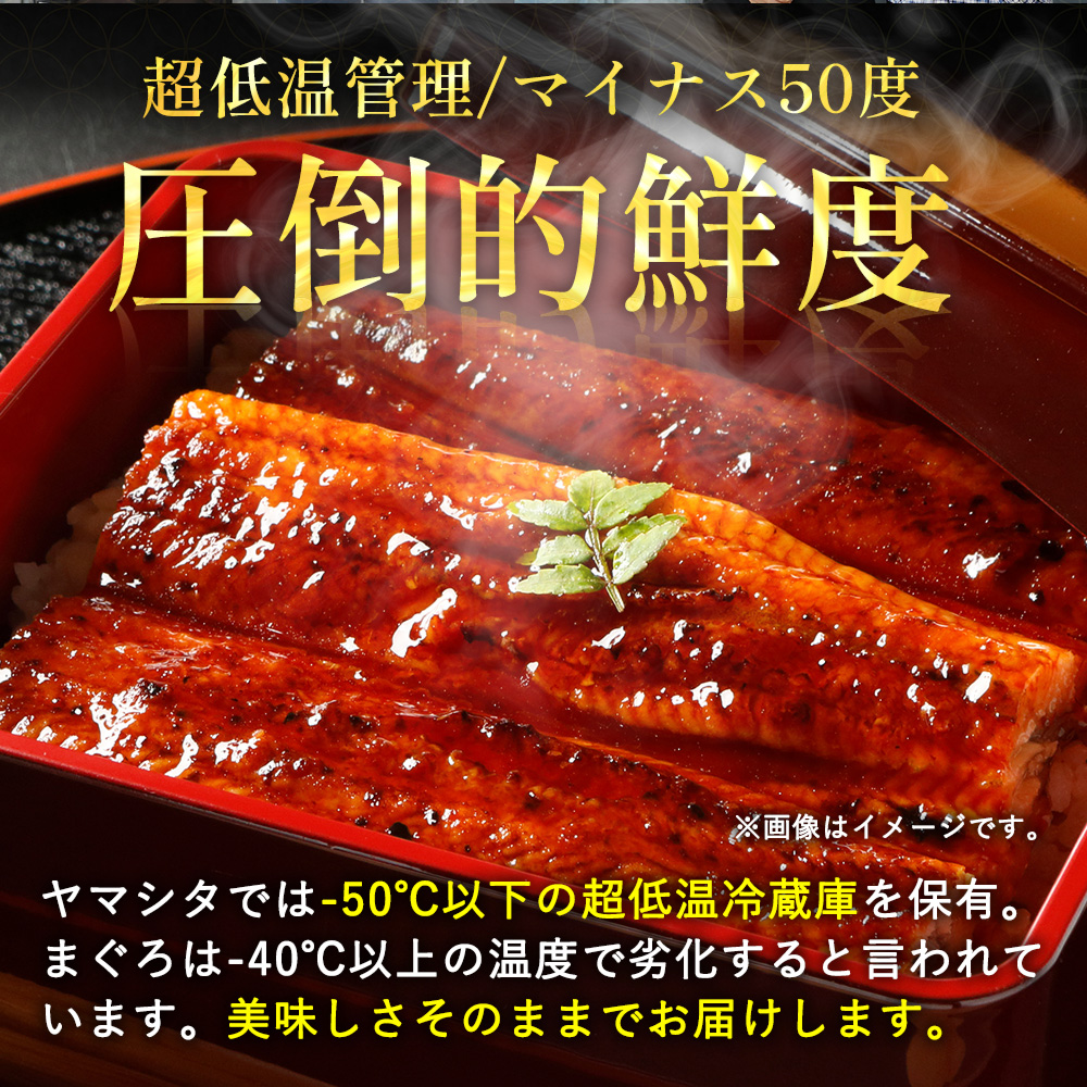 うなぎ 土用の丑の日 ウナギ 蒲焼き 御中元 お中元 お歳暮 父の日