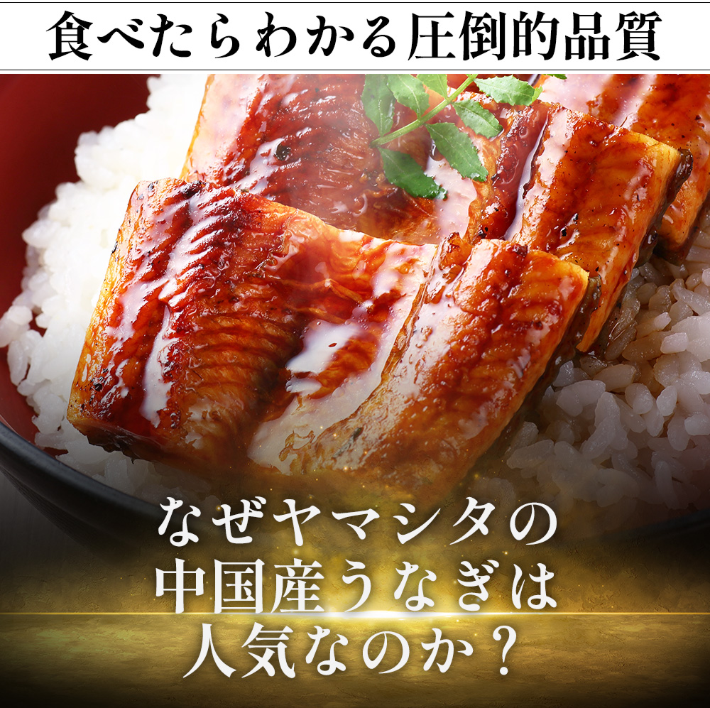 うなぎ 土用の丑の日 ウナギ 蒲焼き 御中元 お中元 お歳暮 父の日