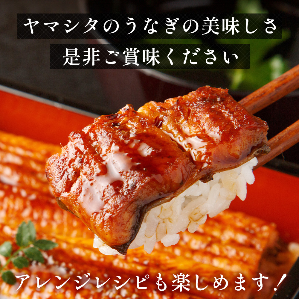 うなぎ 土用の丑の日 ウナギ 蒲焼き 御中元 お中元 お歳暮 父の日