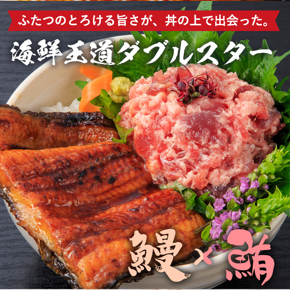 うなぎ 土用の丑の日 ウナギ 蒲焼き 御中元 お中元 お歳暮 父の日