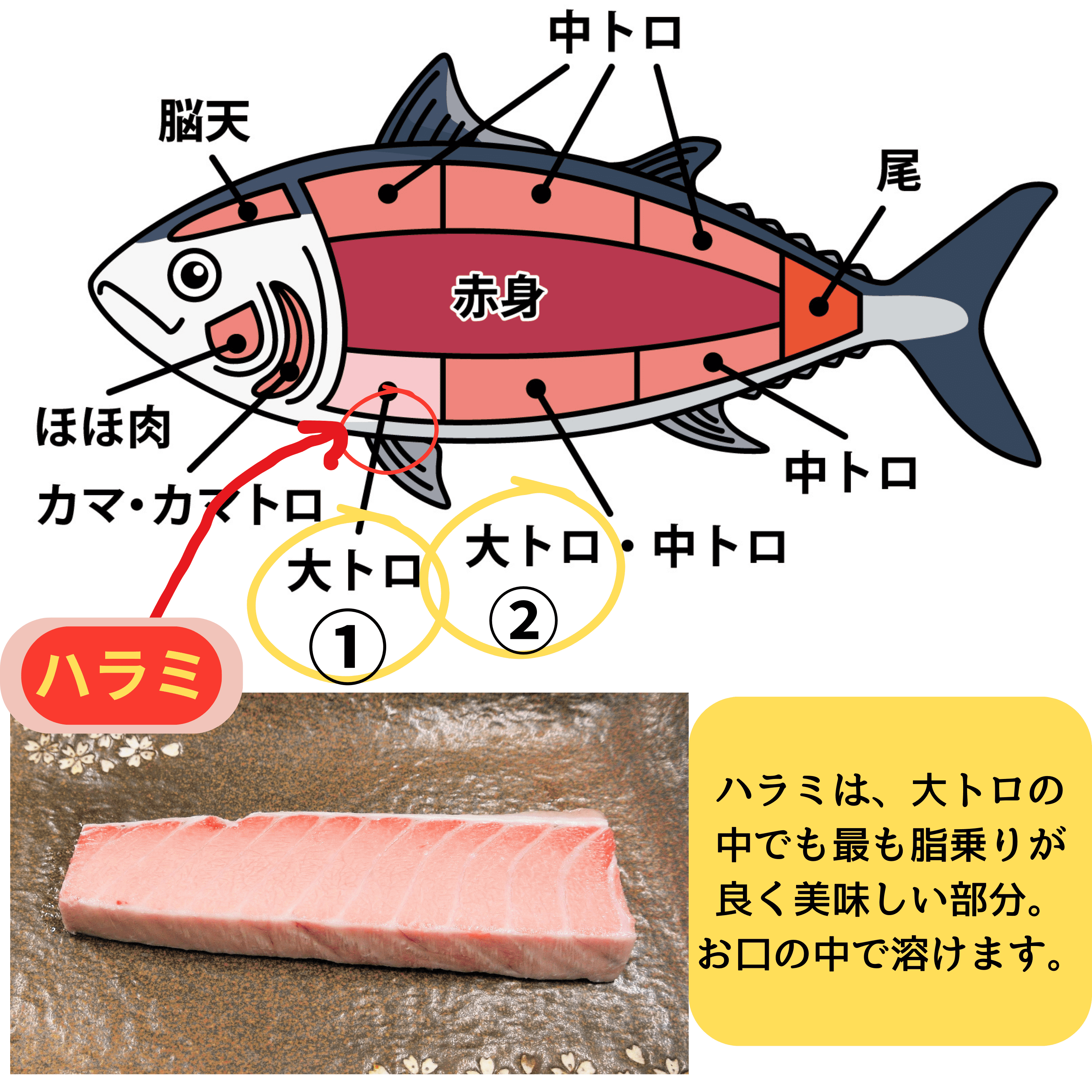 極上天然インドマグロ刺身 中トロ 4枚セット 真空パック : tennen 