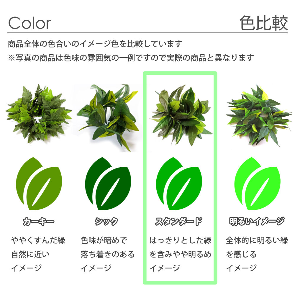 マイレのカラーバリエーション例