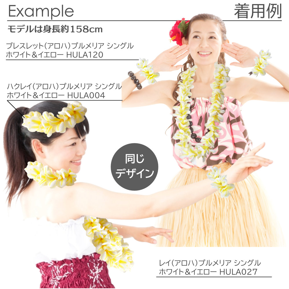 フラダンスのプルメリアシングルハクレイ(ホワイトイエロー)