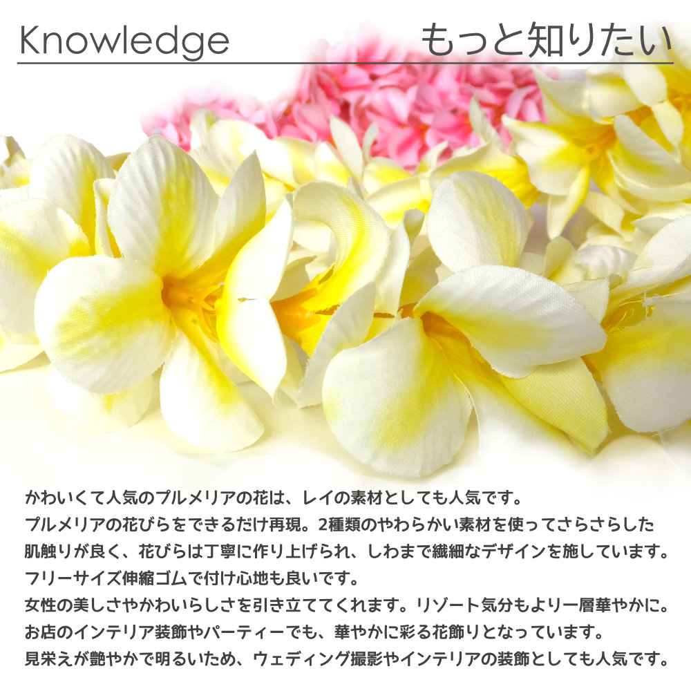 フラダンスのプルメリアシングルハク(ホワイトイエロー)