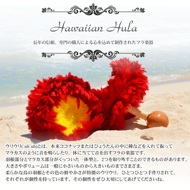 ハワイアン フラダンス 楽器 ウリウリ 一般サイズ Mサイズ 約28cm 一体型 ペア (Aランク) :HULA017:マハロハナ - 通販 -  Yahoo!ショッピング