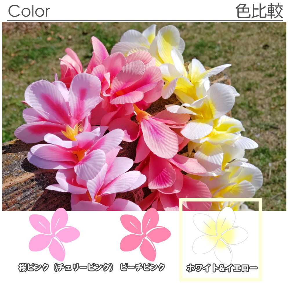 フラダンスのプルメリアシングルハク(ホワイトイエロー)