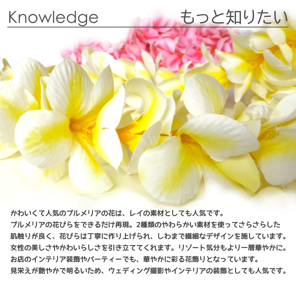 フラダンスのプルメリアシングルレイ(ホワイトイエロー)