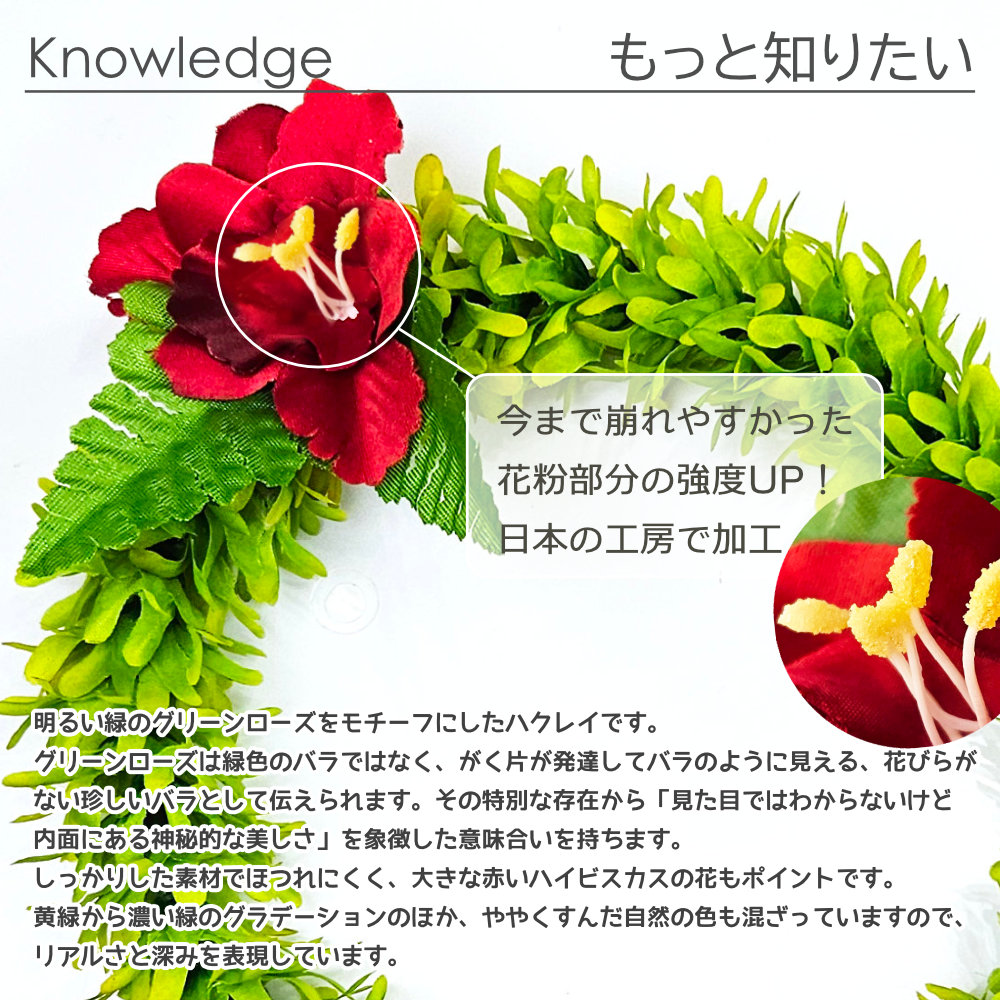 フラダンス ハクレイ グリーンローズ ダブル ヘッドバンド レイポオ