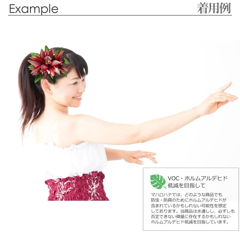 フラ、ハワイアンのアクセサリー