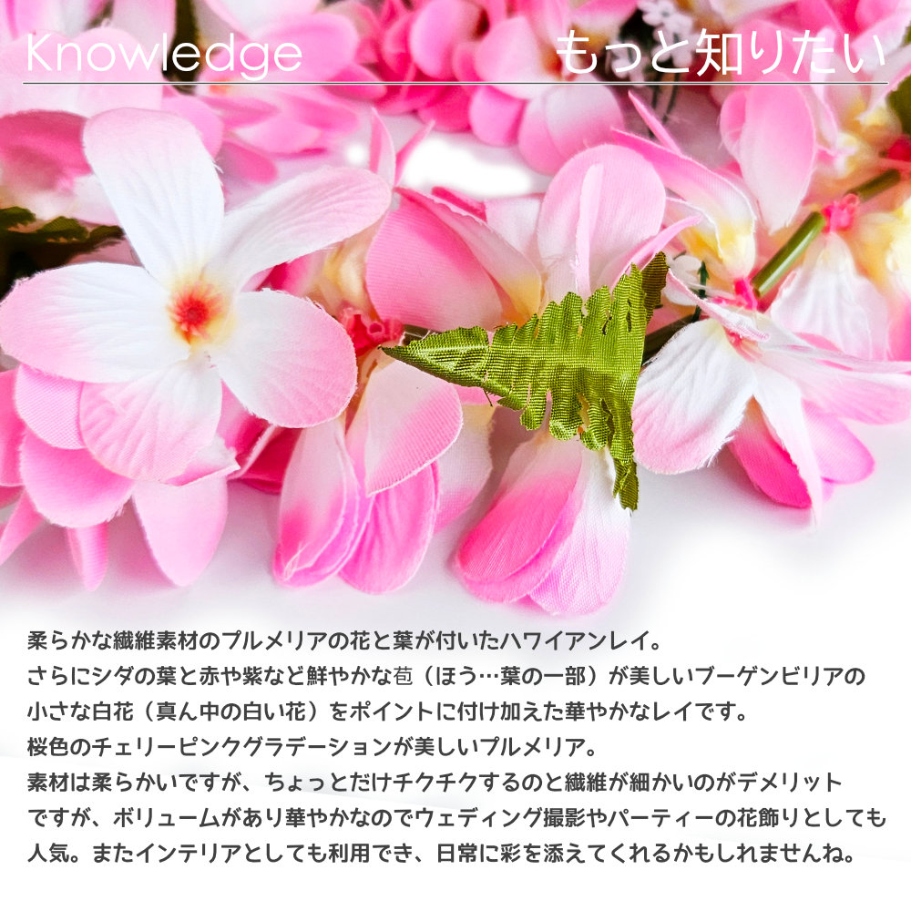 フラダンス レイ プルメリア ブーゲンビリア ( 桜 ピンク