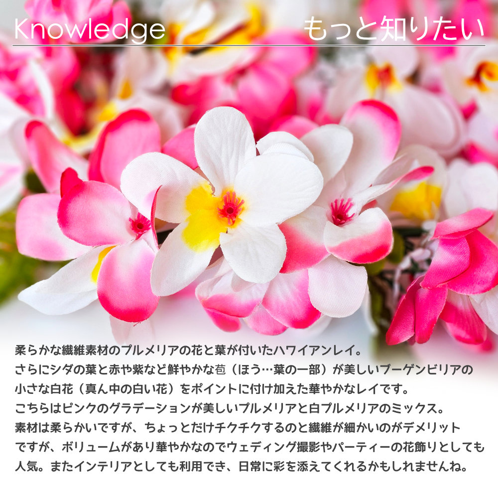 フラダンスのプルメリアブーゲンビリアレイ(ピンクホワイト)