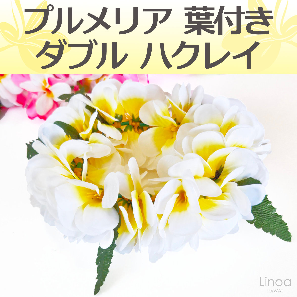 フラダンスのハクレイ