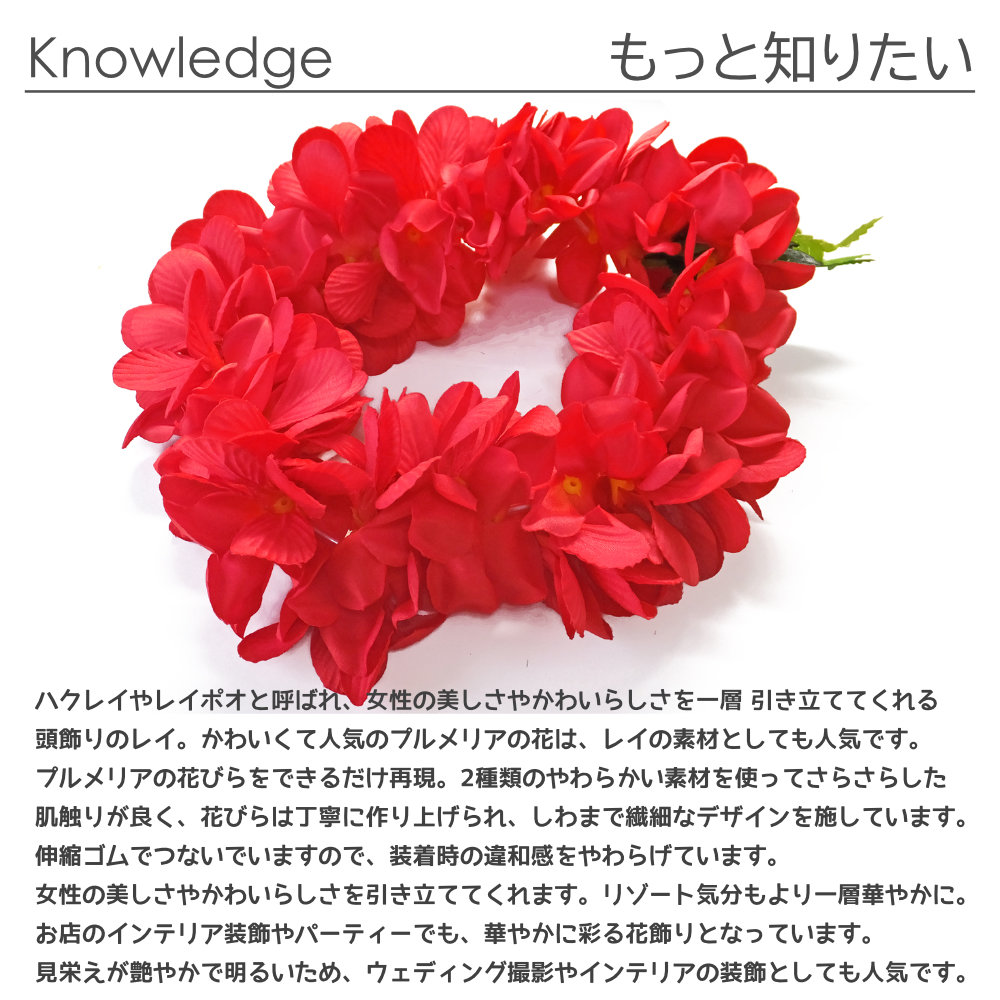 フラダンスのハクレイ