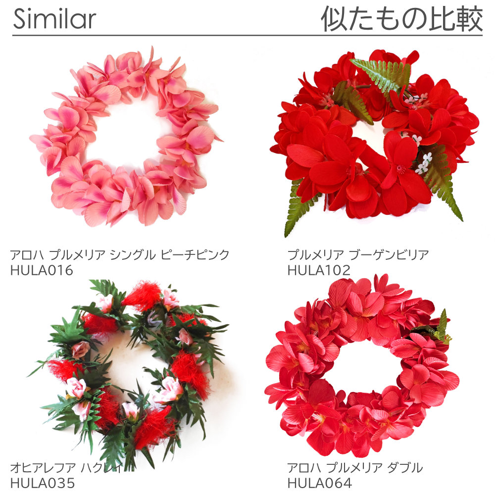 フラダンスのハクレイ